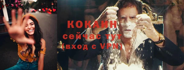 стафф Нестеровская