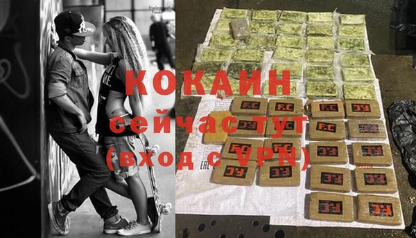 стафф Нестеровская
