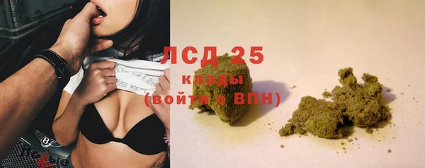 эйфоретик Калининец