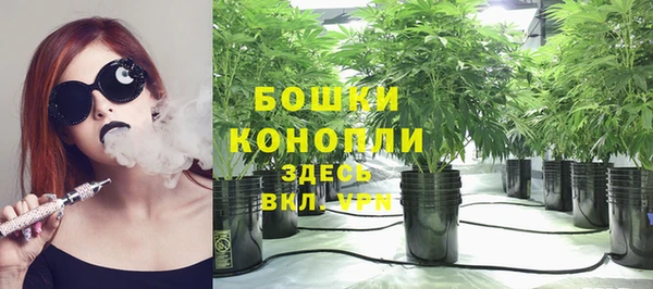 эйфоретик Калининец