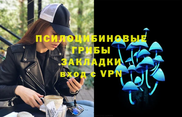 эйфоретик Калининец