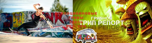 стафф Нестеровская
