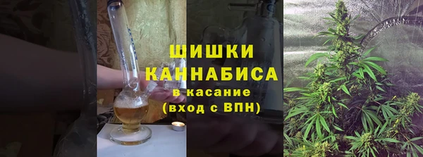 стафф Нестеровская